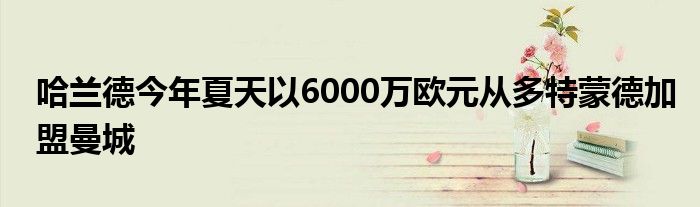 哈蘭德今年夏天以6000萬(wàn)歐元從多特蒙德加盟曼城