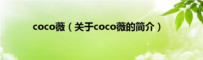 coco薇（關(guān)于coco薇的簡介）