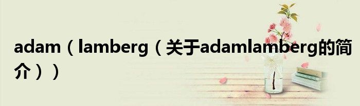 adam（lamberg（關于adamlamberg的簡介））