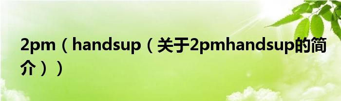 2pm（handsup（關(guān)于2pmhandsup的簡(jiǎn)介））