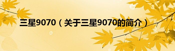 三星9070（關(guān)于三星9070的簡(jiǎn)介）