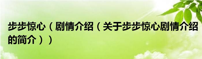 步步驚心（劇情介紹（關于步步驚心劇情介紹的簡介））