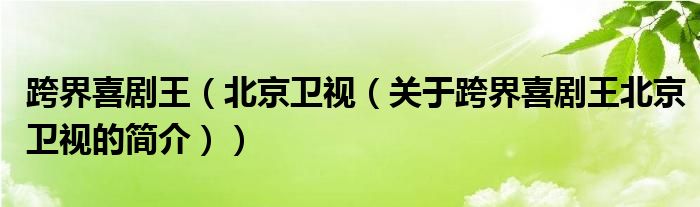 跨界喜劇王（北京衛(wèi)視（關(guān)于跨界喜劇王北京衛(wèi)視的簡(jiǎn)介））