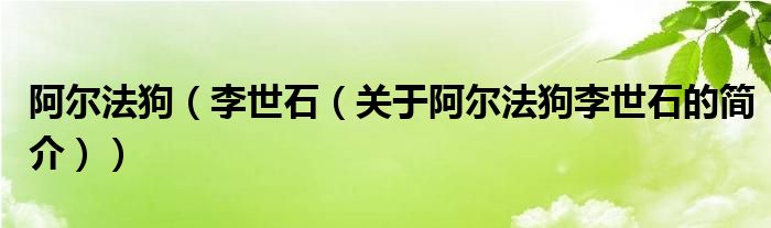 阿爾法狗（李世石（關(guān)于阿爾法狗李世石的簡介））