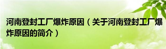 河南登封工廠爆炸原因（關(guān)于河南登封工廠爆炸原因的簡(jiǎn)介）