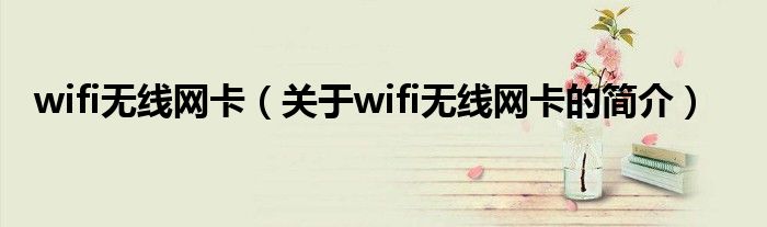 wifi無(wú)線網(wǎng)卡（關(guān)于wifi無(wú)線網(wǎng)卡的簡(jiǎn)介）