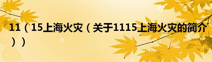 11（15上?；馂?zāi)（關(guān)于1115上?；馂?zāi)的簡(jiǎn)介））