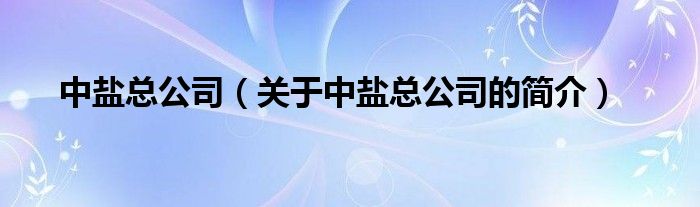 中鹽總公司（關(guān)于中鹽總公司的簡介）