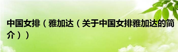 中國(guó)女排（雅加達(dá)（關(guān)于中國(guó)女排雅加達(dá)的簡(jiǎn)介））