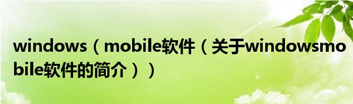 windows（mobile軟件（關(guān)于windowsmobile軟件的簡介））