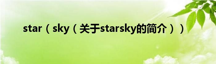 star（sky（關(guān)于starsky的簡介））