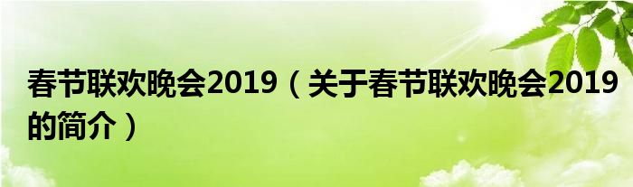 春節(jié)聯(lián)歡晚會2019（關(guān)于春節(jié)聯(lián)歡晚會2019的簡介）