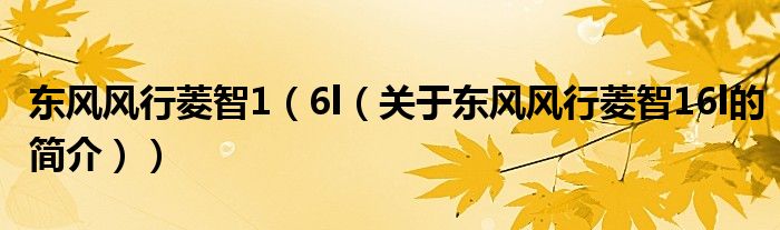 東風(fēng)風(fēng)行菱智1（6l（關(guān)于東風(fēng)風(fēng)行菱智16l的簡介））