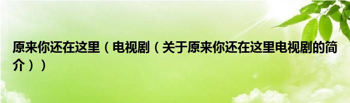 原來你還在這里（電視劇（關(guān)于原來你還在這里電視劇的簡介））