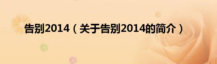 告別2014（關(guān)于告別2014的簡介）