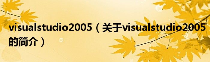 visualstudio2005（關(guān)于visualstudio2005的簡(jiǎn)介）