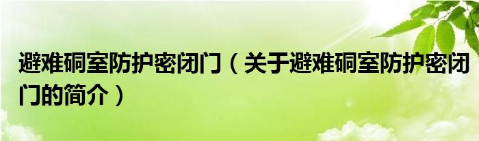 避難硐室防護(hù)密閉門（關(guān)于避難硐室防護(hù)密閉門的簡介）