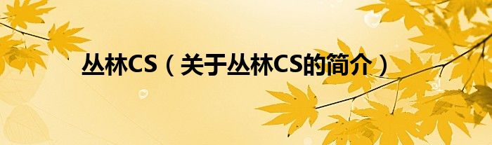 叢林CS（關于叢林CS的簡介）