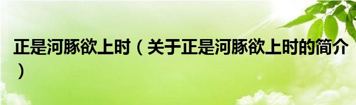 正是河豚欲上時（關于正是河豚欲上時的簡介）