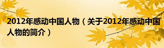 2012年感動中國人物（關于2012年感動中國人物的簡介）