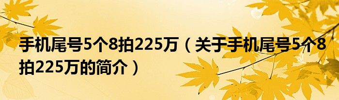 手機(jī)尾號5個8拍225萬（關(guān)于手機(jī)尾號5個8拍225萬的簡介）