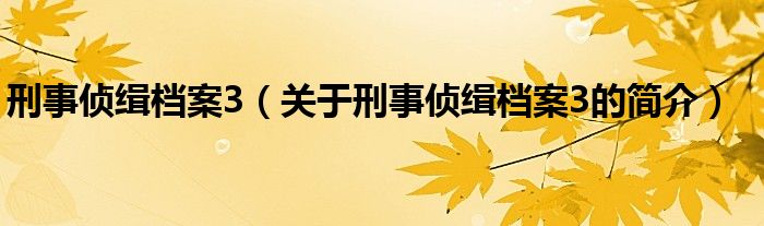 刑事偵緝檔案3（關于刑事偵緝檔案3的簡介）