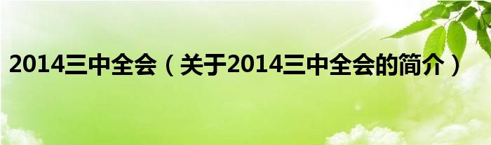 2014三中全會（關(guān)于2014三中全會的簡介）