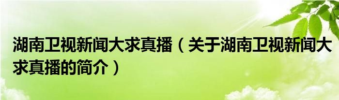 湖南衛(wèi)視新聞大求真播（關(guān)于湖南衛(wèi)視新聞大求真播的簡介）