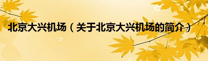 北京大興機(jī)場（關(guān)于北京大興機(jī)場的簡介）