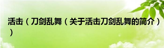 活擊（刀劍亂舞（關(guān)于活擊刀劍亂舞的簡介））