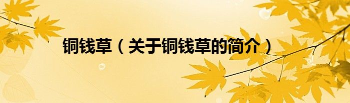 銅錢草（關(guān)于銅錢草的簡(jiǎn)介）