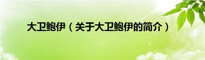 大衛(wèi)鮑伊（關(guān)于大衛(wèi)鮑伊的簡(jiǎn)介）