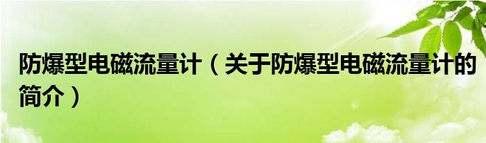 防爆型電磁流量計(jì)（關(guān)于防爆型電磁流量計(jì)的簡介）