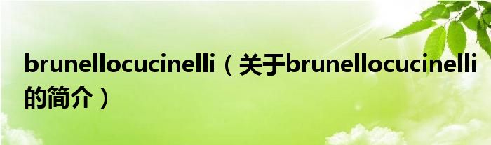 brunellocucinelli（關(guān)于brunellocucinelli的簡介）