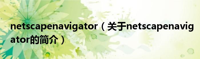 netscapenavigator（關(guān)于netscapenavigator的簡介）