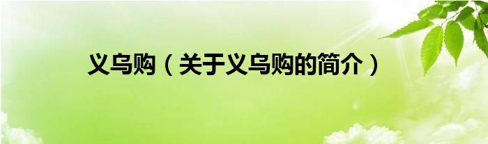 義烏購(gòu)（關(guān)于義烏購(gòu)的簡(jiǎn)介）