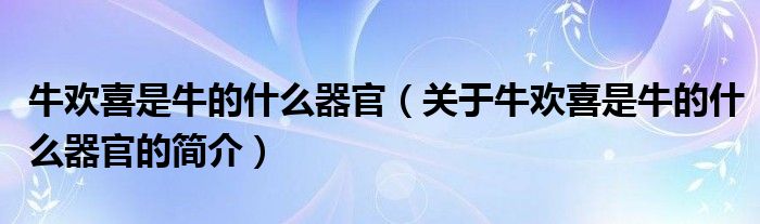 牛歡喜是牛的什么器官（關于牛歡喜是牛的什么器官的簡介）