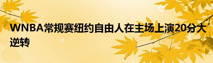 WNBA常規(guī)賽紐約自由人在主場上演20分大逆轉(zhuǎn)