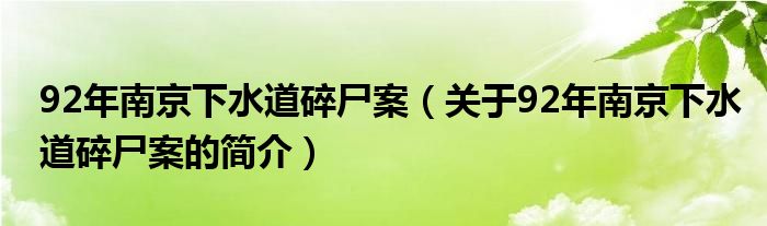 92年南京下水道碎尸案（關(guān)于92年南京下水道碎尸案的簡(jiǎn)介）