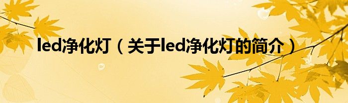 led凈化燈（關(guān)于led凈化燈的簡(jiǎn)介）