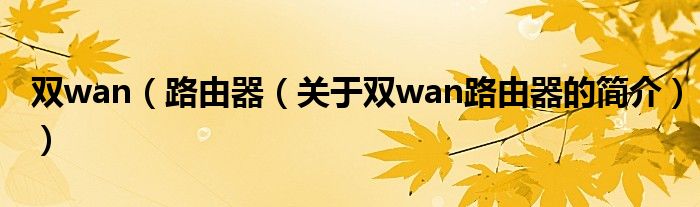 雙wan（路由器（關(guān)于雙wan路由器的簡(jiǎn)介））