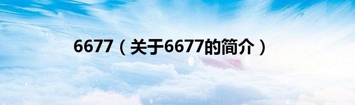 6677（關(guān)于6677的簡(jiǎn)介）