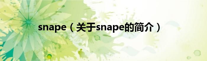 snape（關(guān)于snape的簡介）