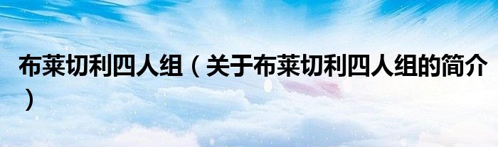 布萊切利四人組（關(guān)于布萊切利四人組的簡介）