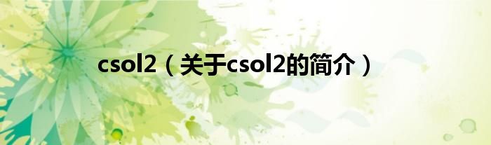 csol2（關(guān)于csol2的簡(jiǎn)介）