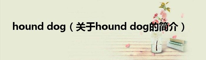 hound dog（關(guān)于hound dog的簡(jiǎn)介）