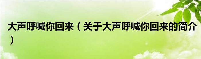 大聲呼喊你回來（關于大聲呼喊你回來的簡介）