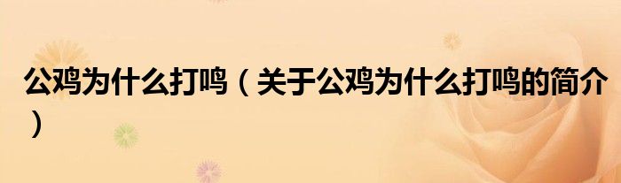 公雞為什么打鳴（關(guān)于公雞為什么打鳴的簡介）