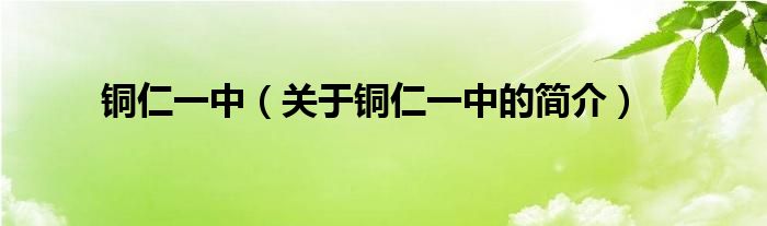 銅仁一中（關于銅仁一中的簡介）