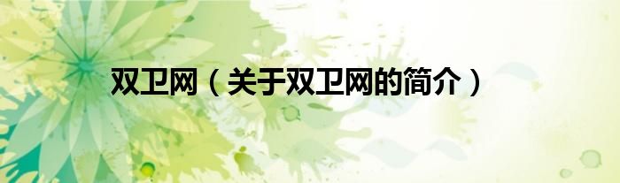 雙衛(wèi)網(wǎng)（關(guān)于雙衛(wèi)網(wǎng)的簡介）